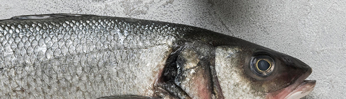 Риба та морепродукти