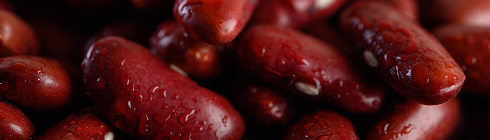 Бобові культури